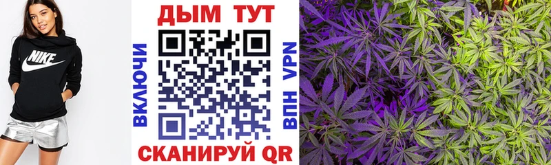 Наркотические вещества Радужный Бошки Шишки  А ПВП  АМФ  Меф  Кокаин  ГАШИШ 