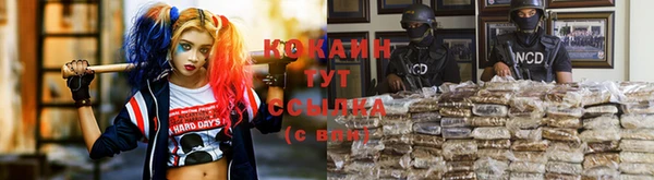 шишки Армянск