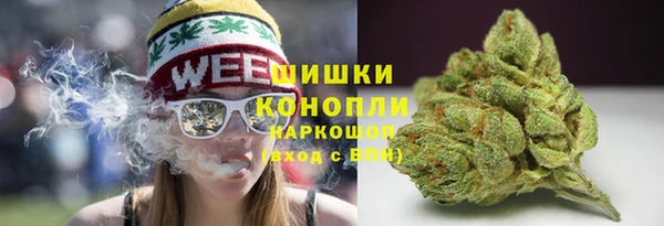шишки Армянск