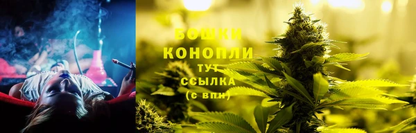 сатива Баксан