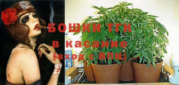 мескалин Арсеньев