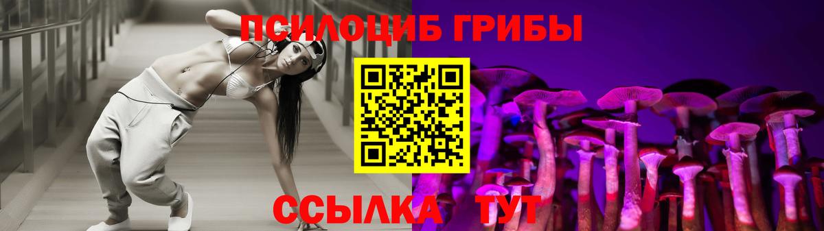Псилоцибиновые грибы Cubensis Радужный