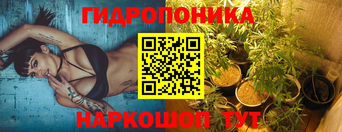МАРИХУАНА OG Kush Радужный